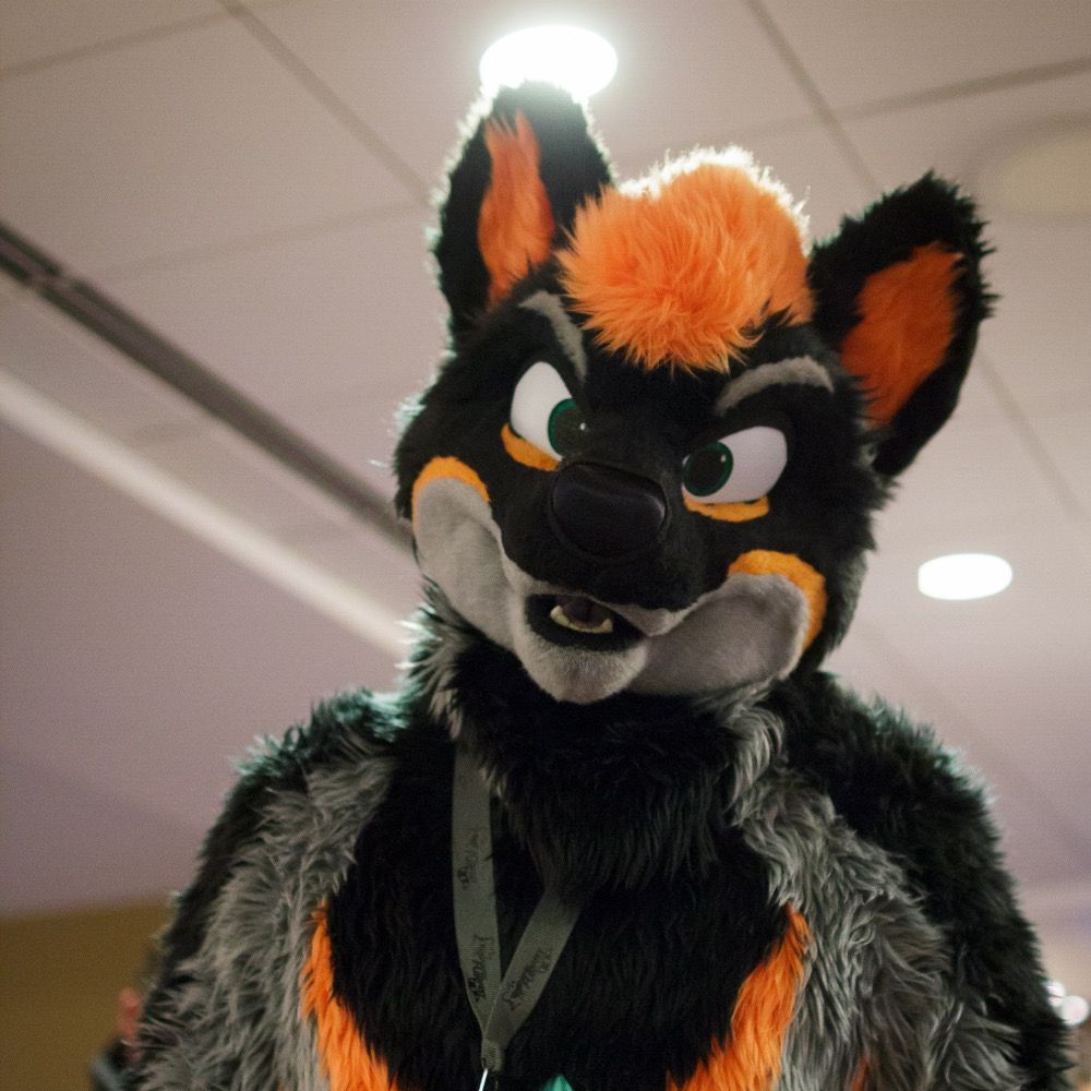 Sheppfox