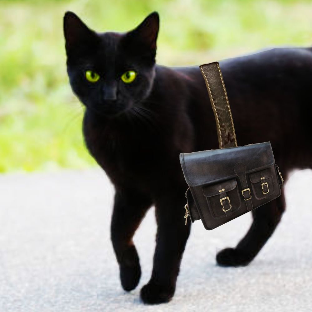 Real Cat