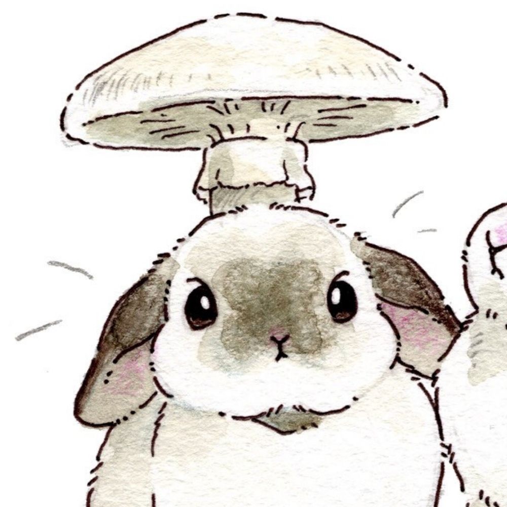 ERabbit