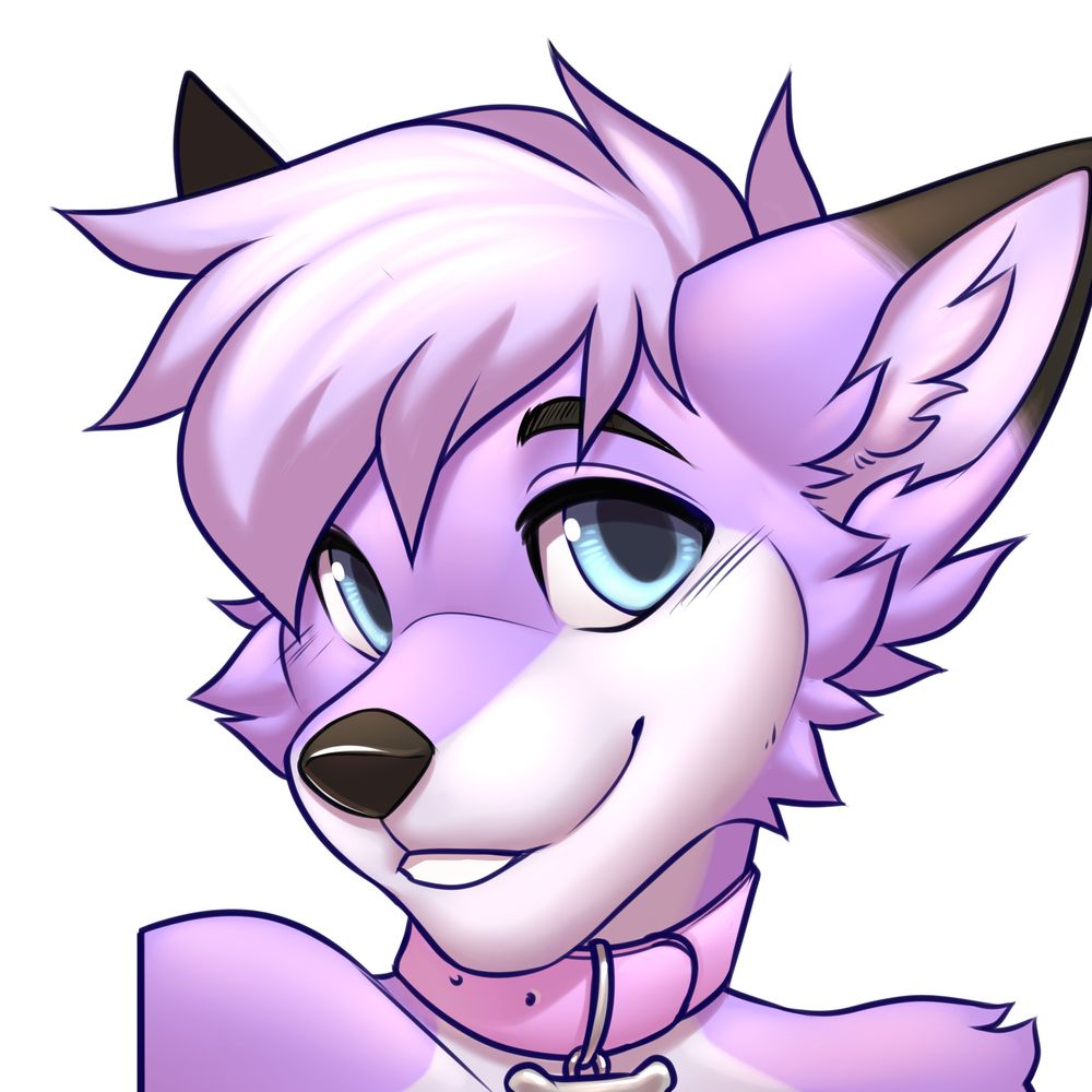fawxpaws