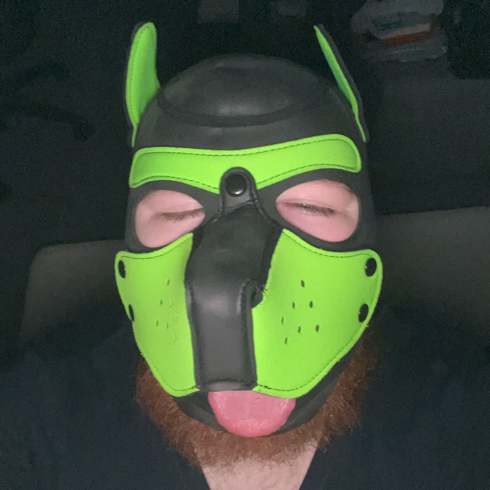 Thatgayboyillustrator