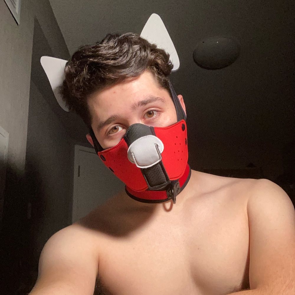 PupTempo430