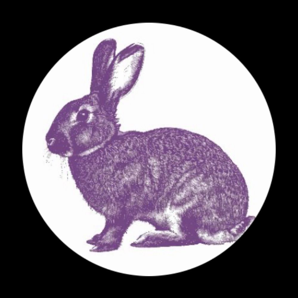 PRPL Rabbit Beats
