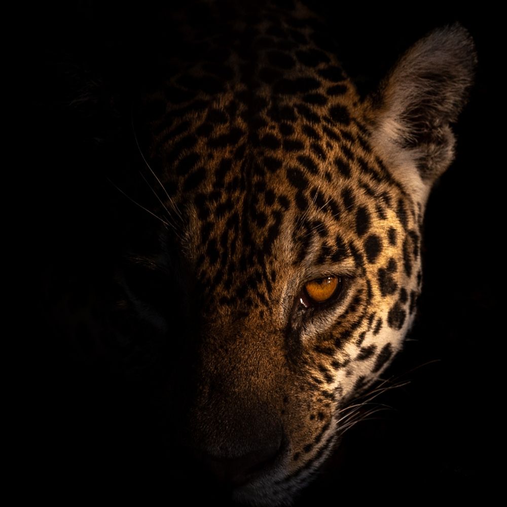 AndyBeavisPhoto