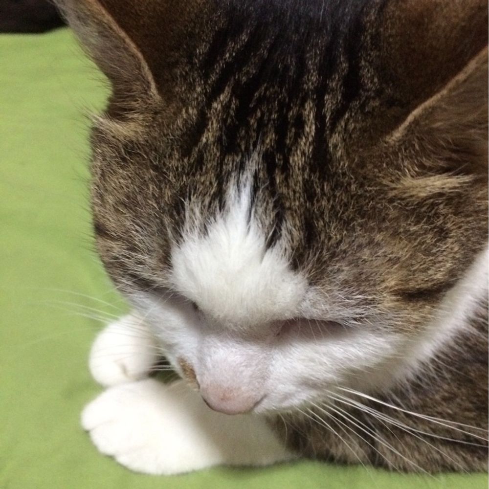 シルフィス