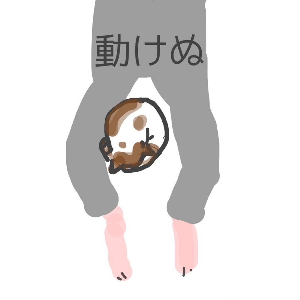 ルビさんともっさん
