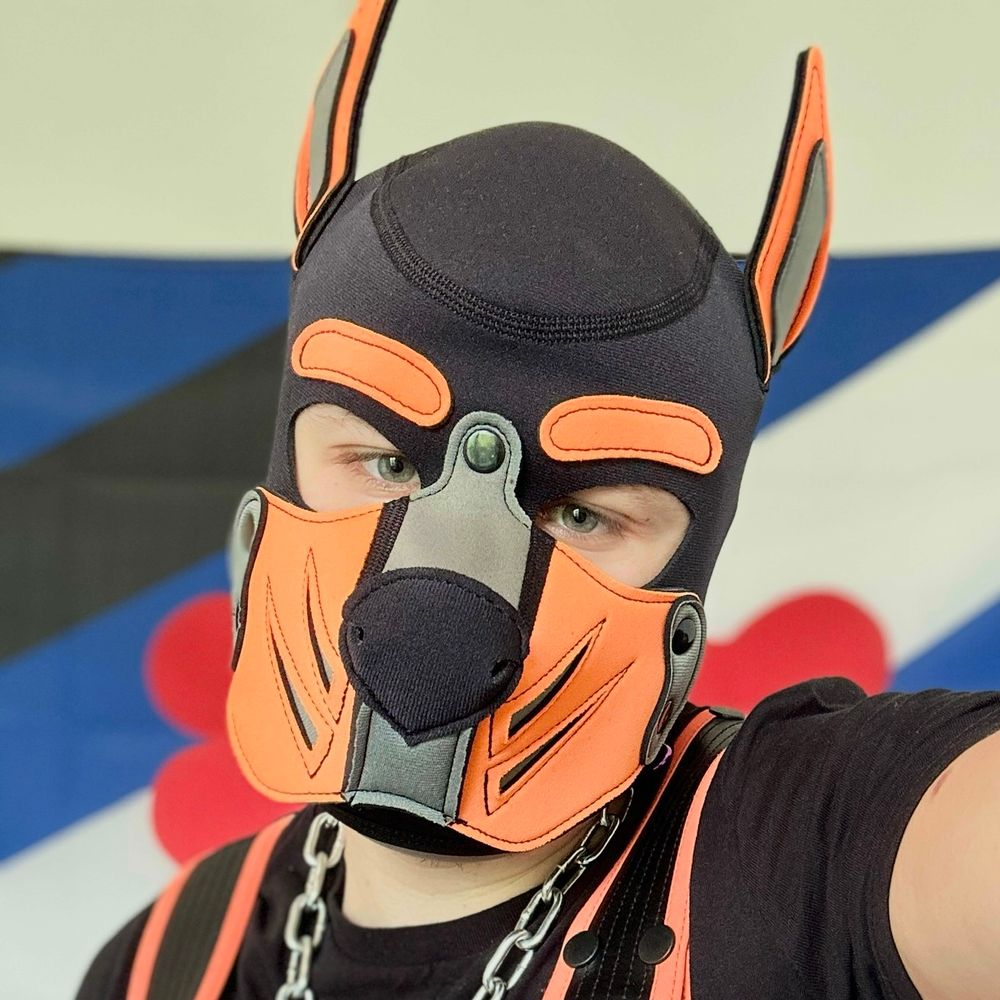 Pup Noxi