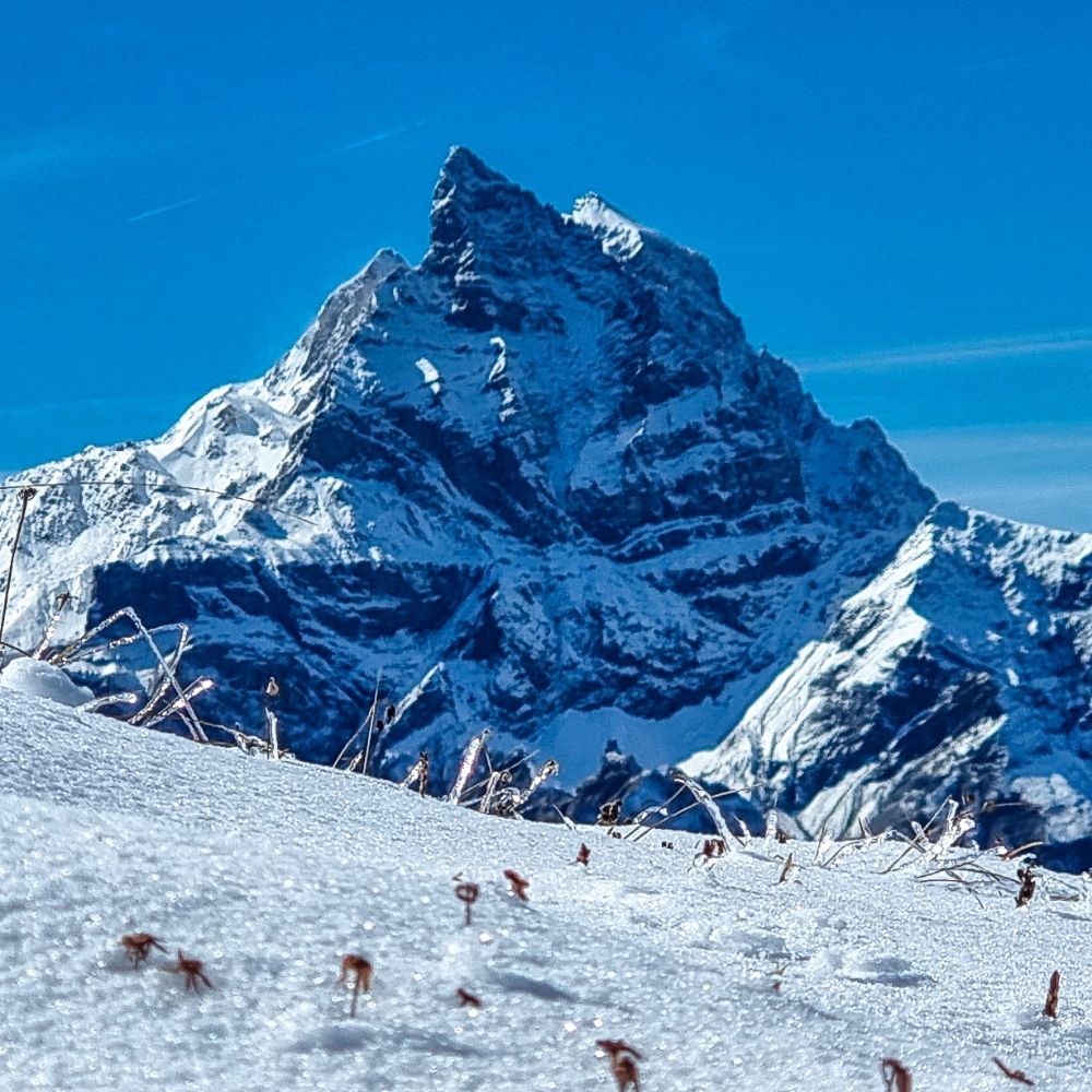 AlpSummit