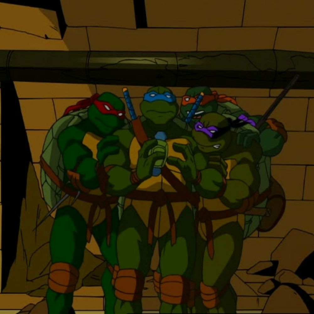 The Legendary MagicTurtle