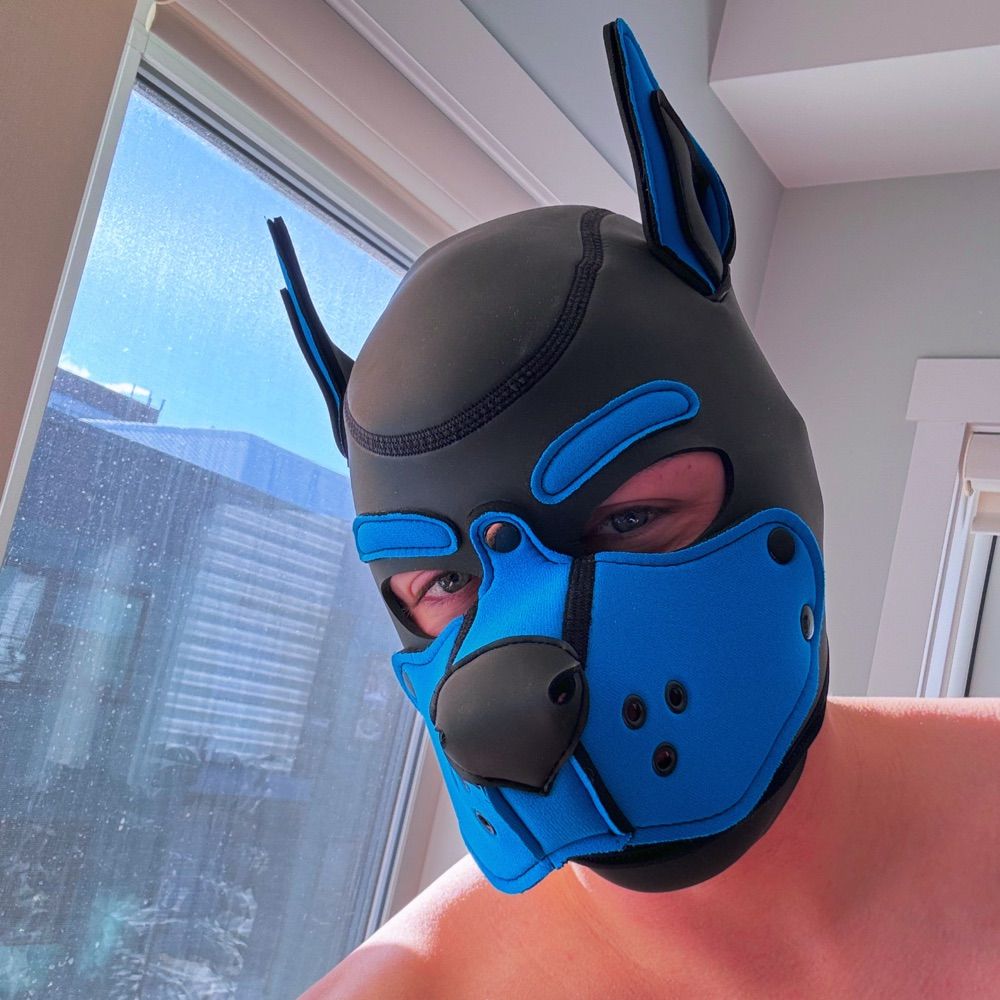 Pup Clay