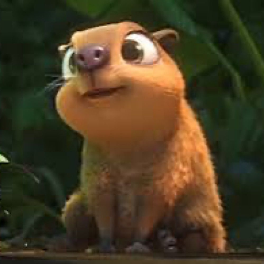 clarinha, a capivara
