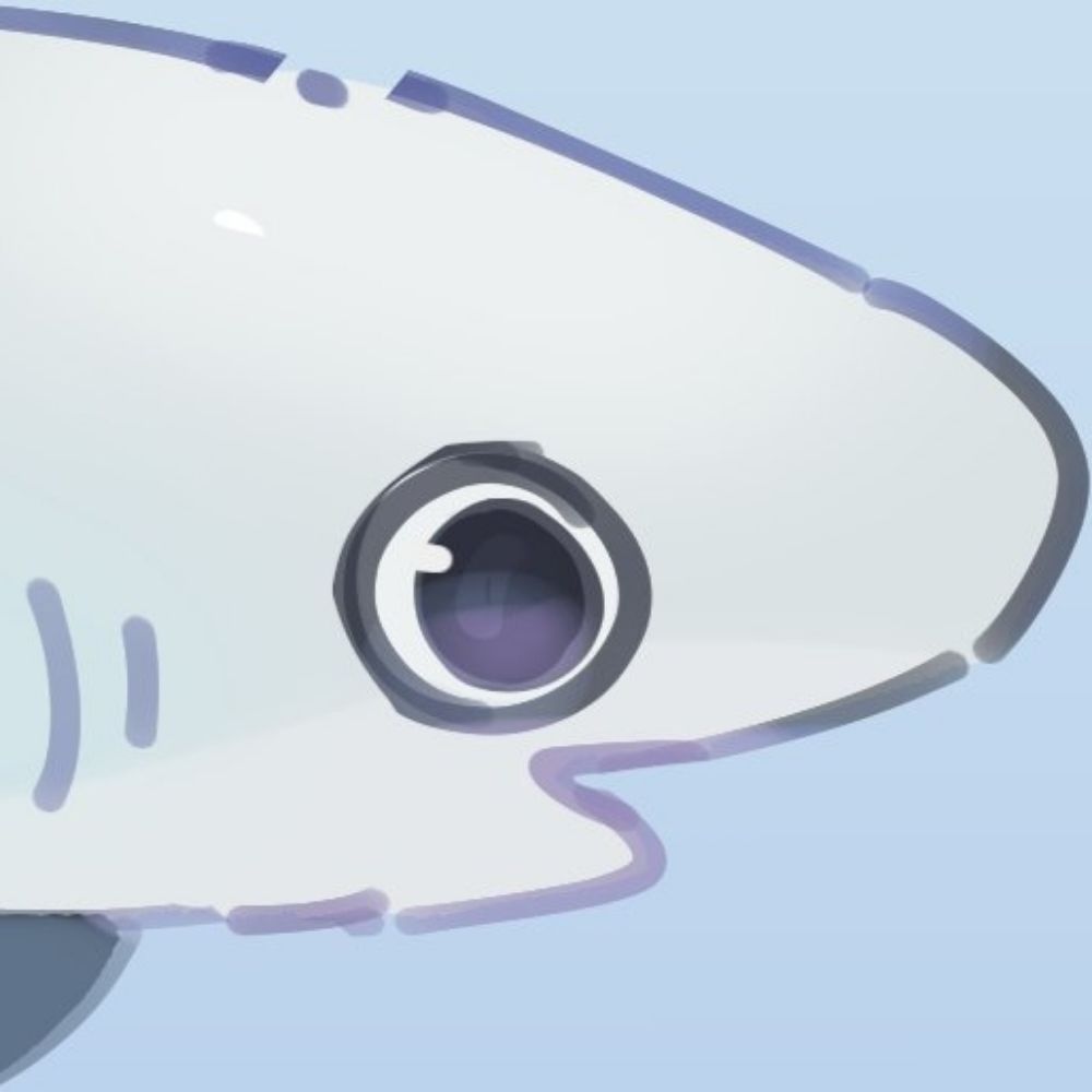 Layla🦈