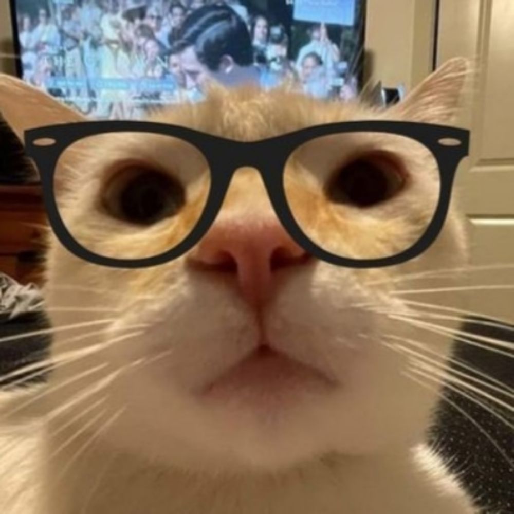 sunnyfelix.bsky.social