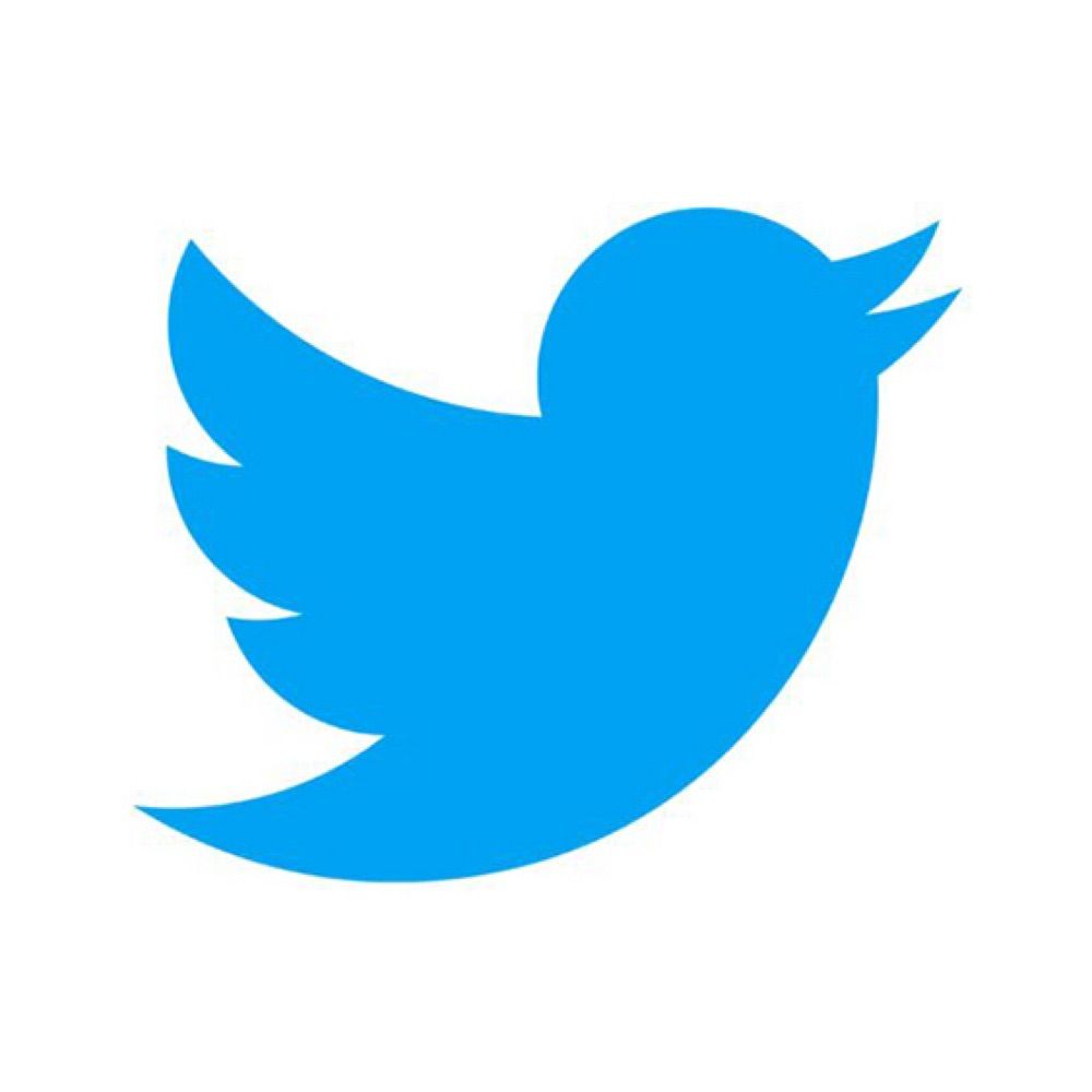 QUE VUELVA TWITTER