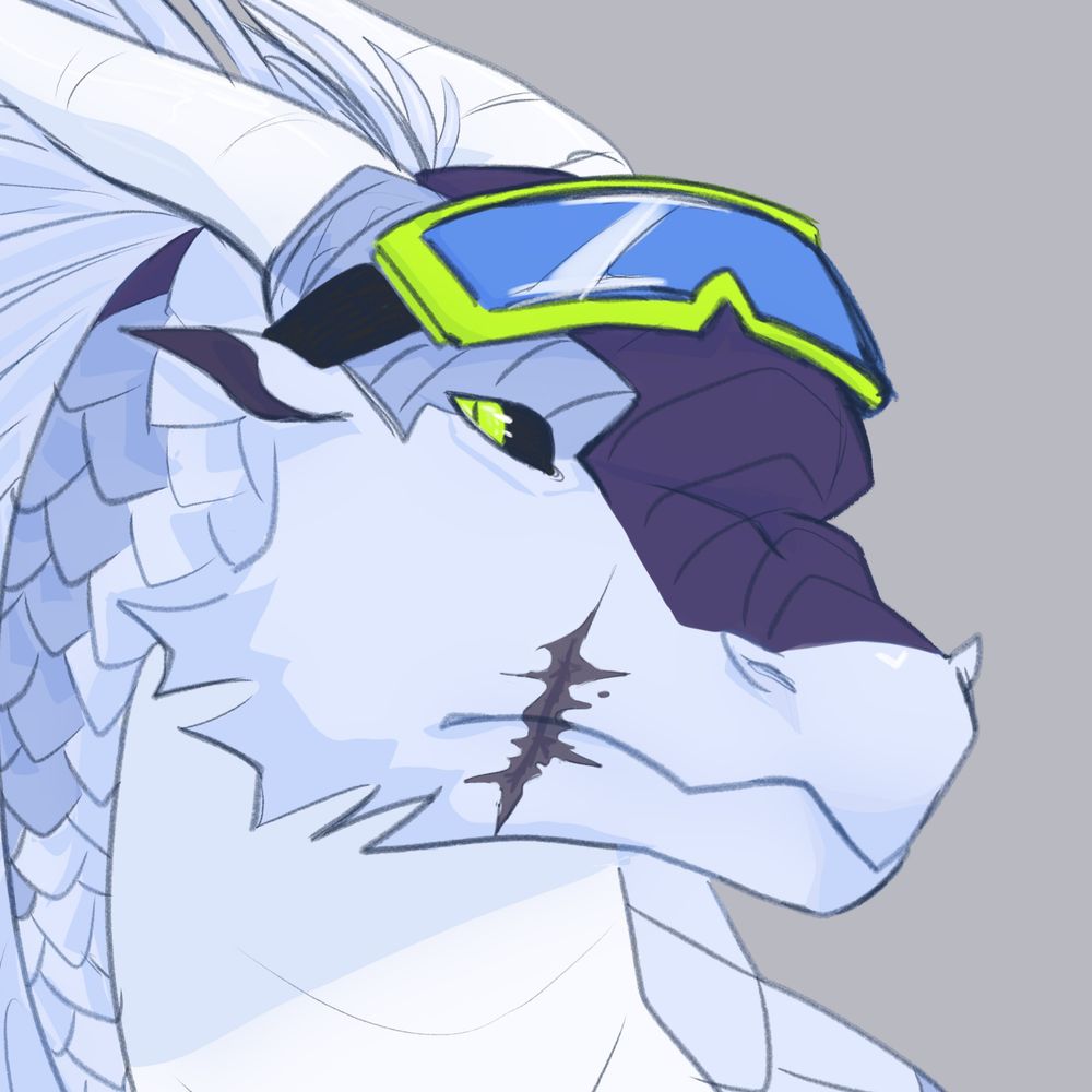 Tok The Icewing