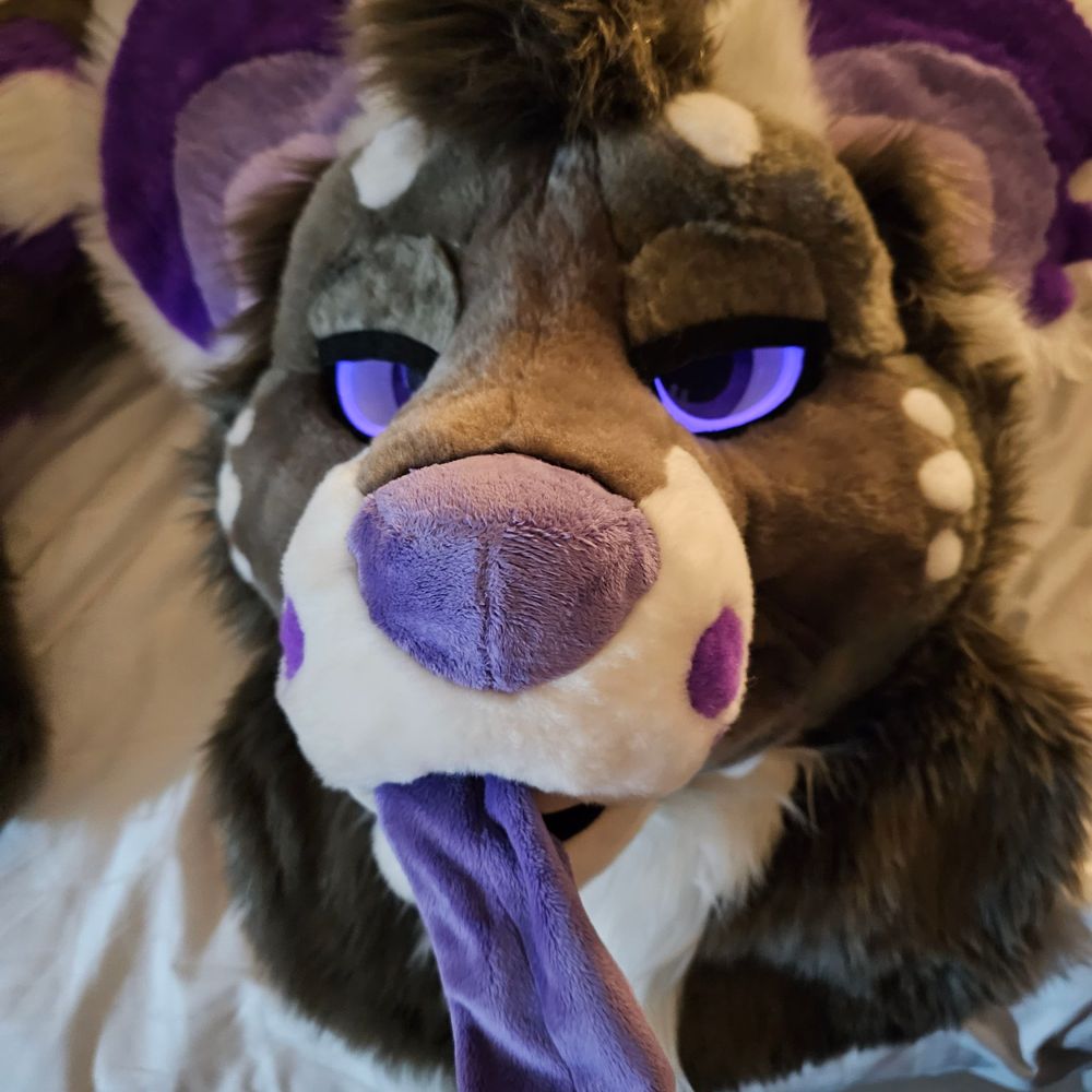 Noctisthewilddog