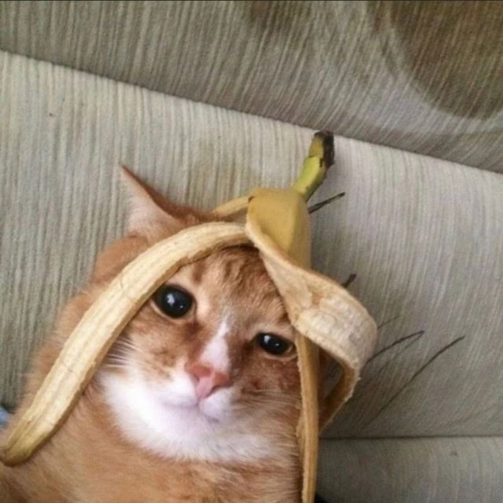Yanto