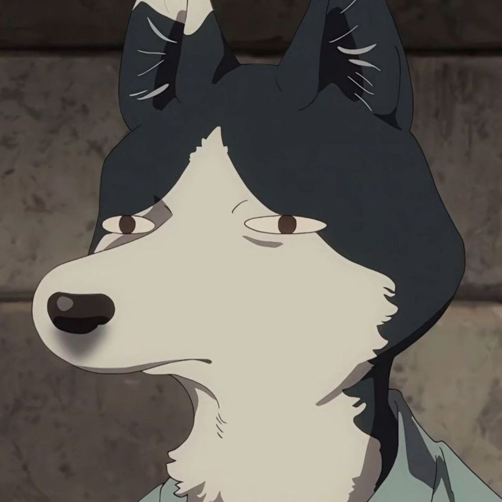 Kitorito