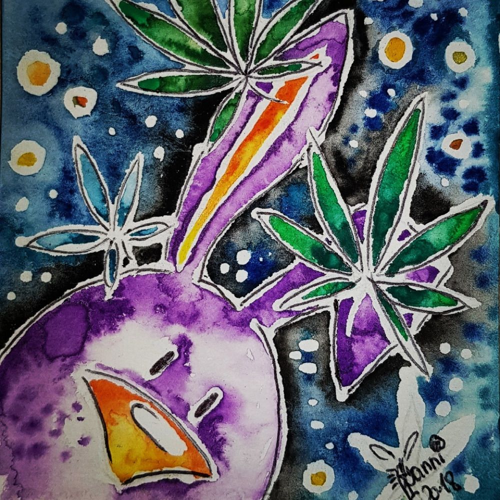 Wanni van den Haze