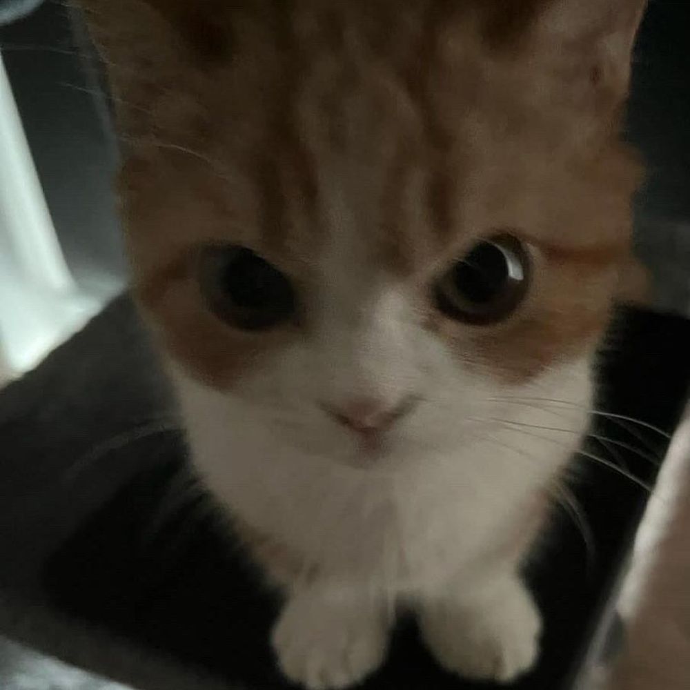 kami <3