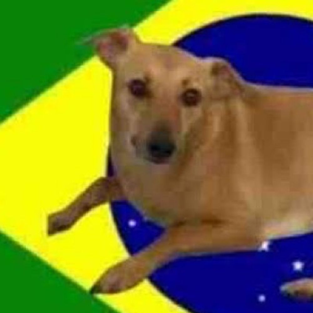 Shitpost brazuca meu pau na tua nuca