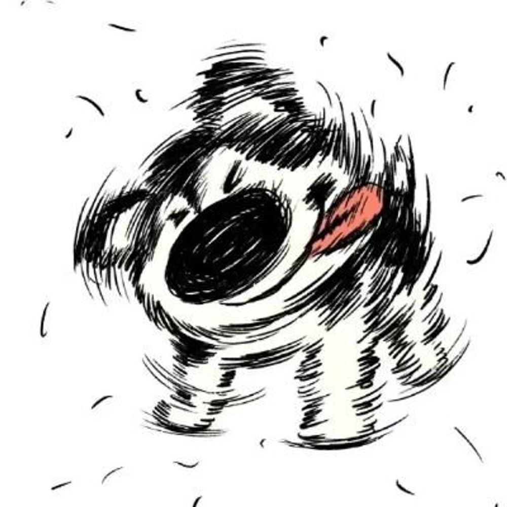 ddong