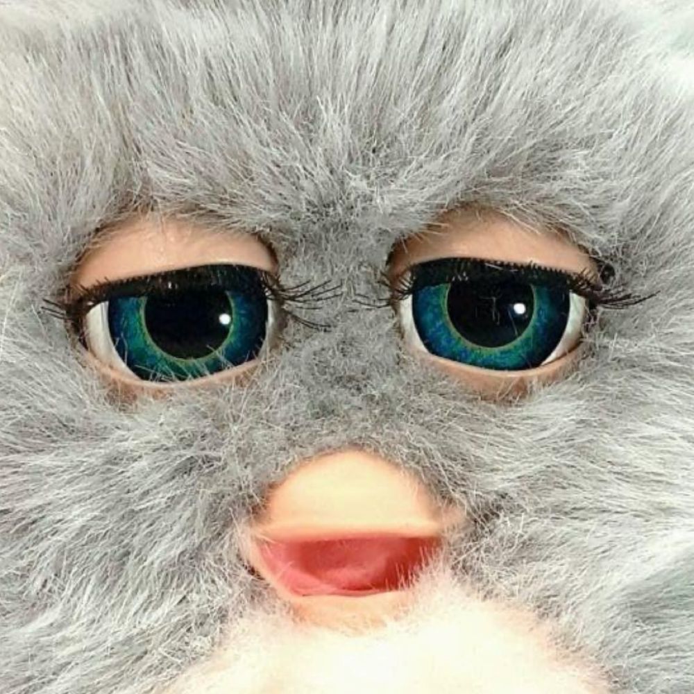KON