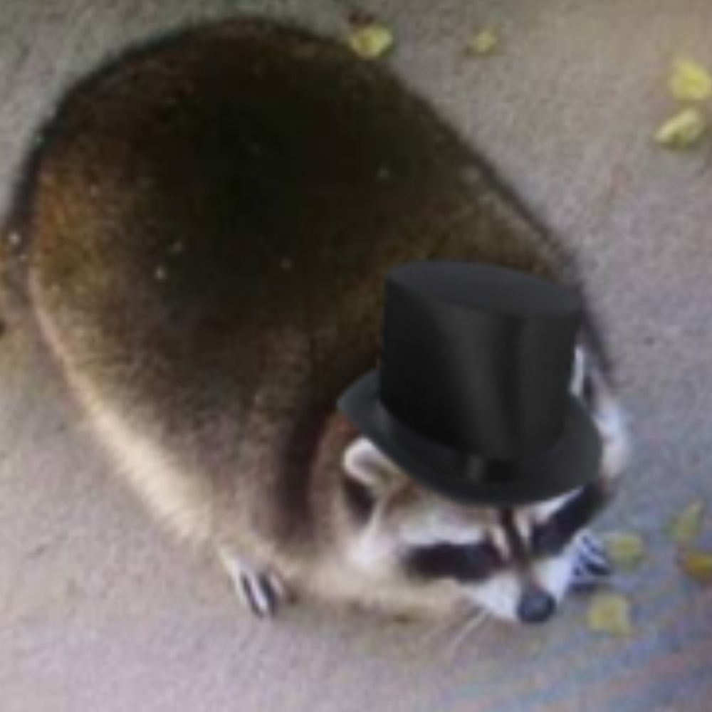 Chonko