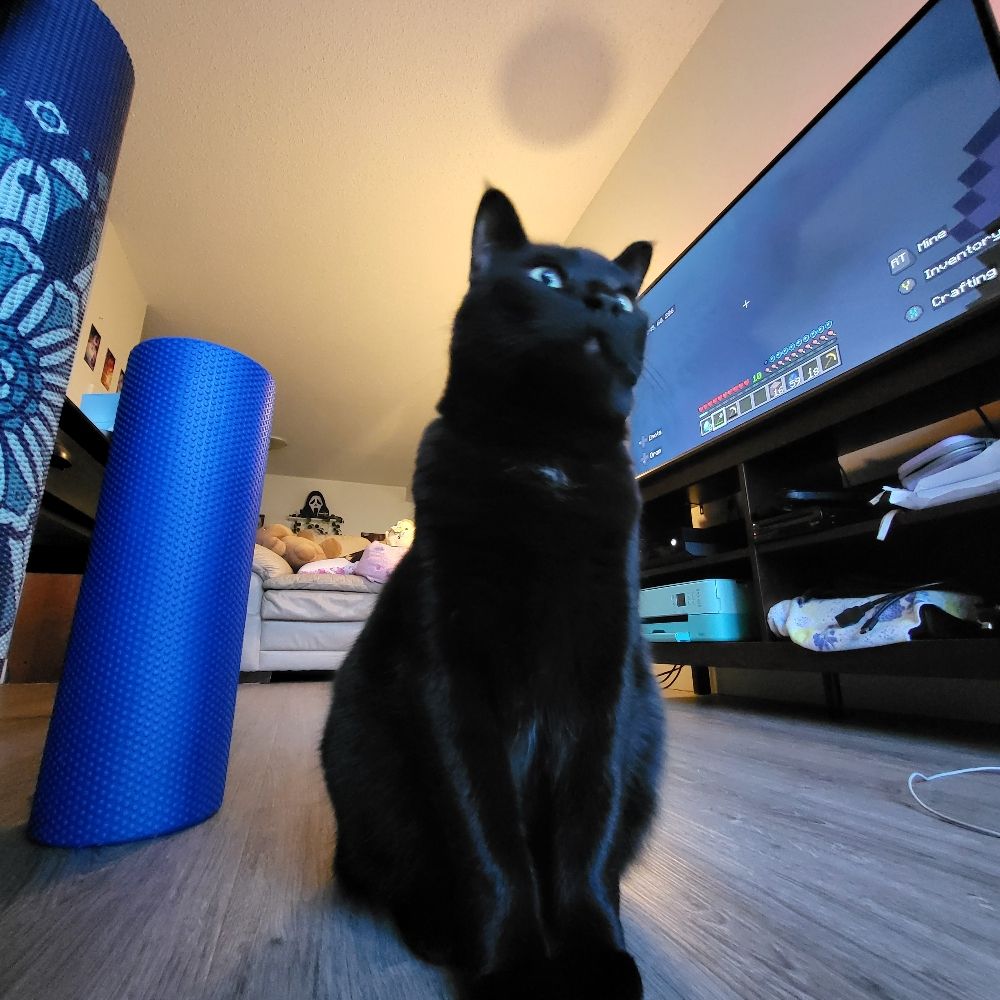 Eric