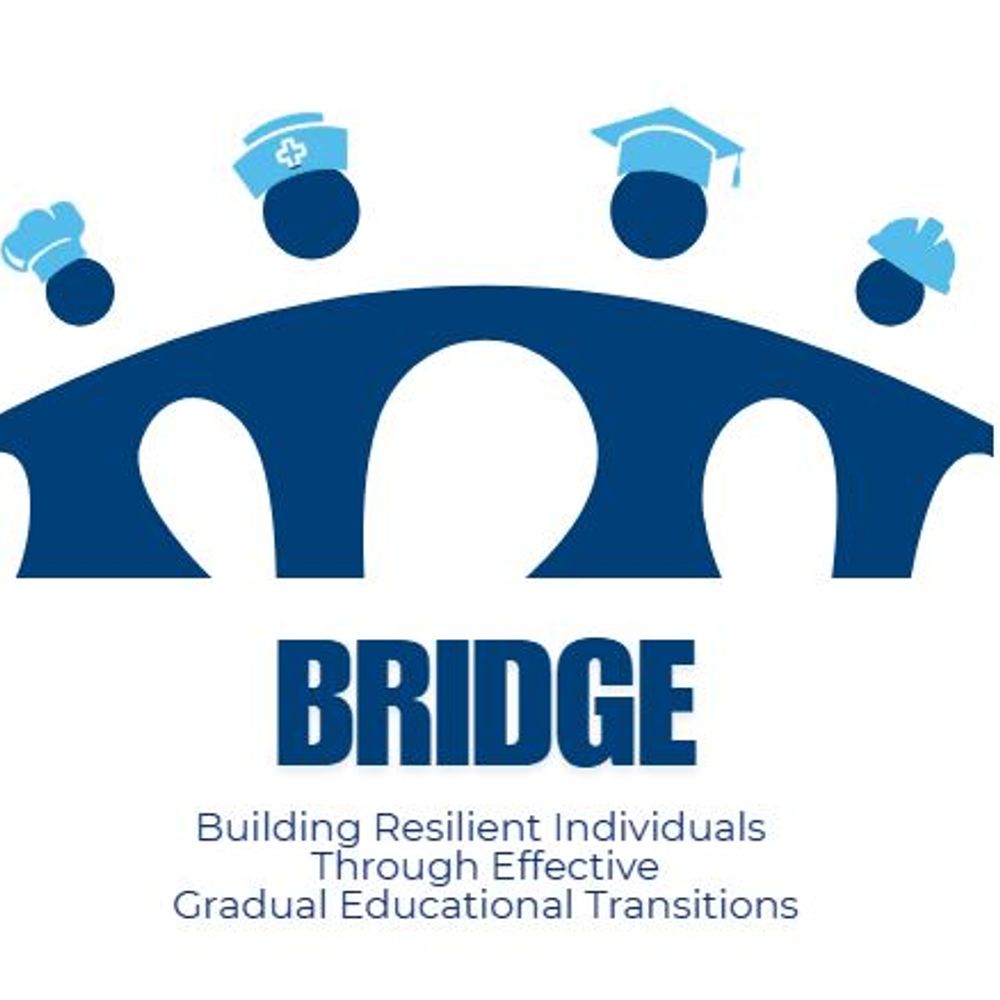 BRIDGE Project