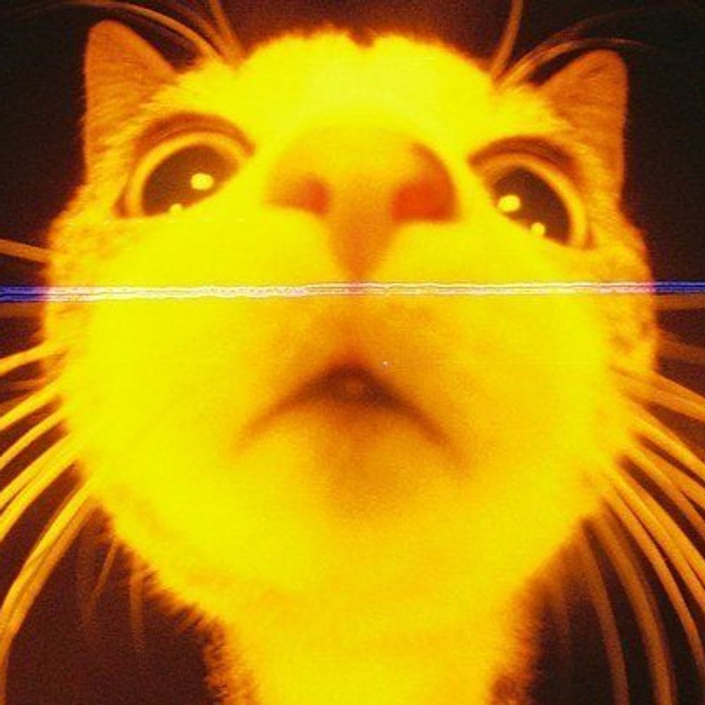 Cats have taken over the Earth😼's Avatar