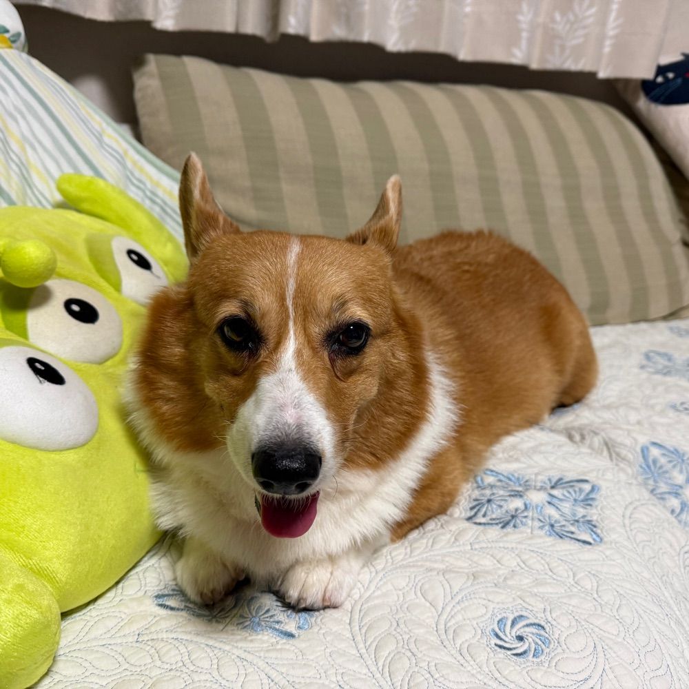 コギ助