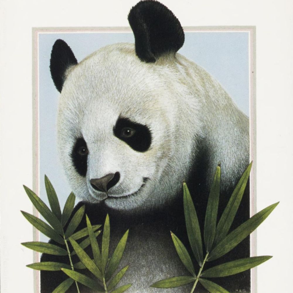 Zoo Unique