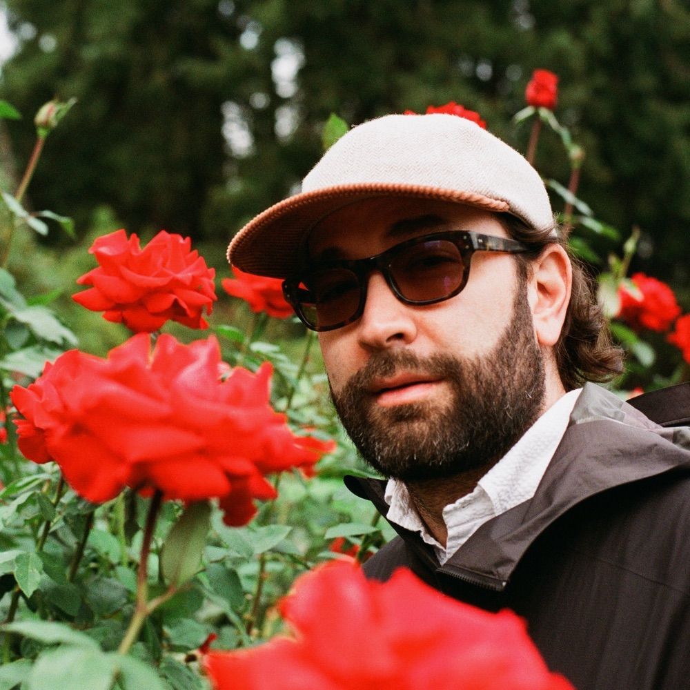 phil donohue