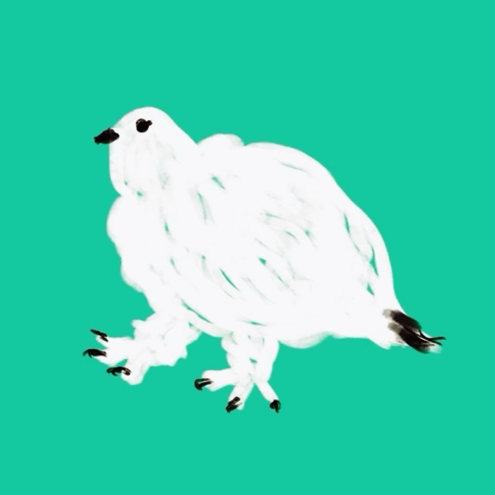 オリタ