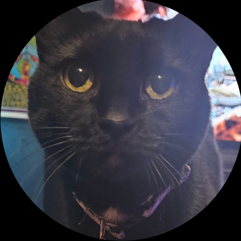 mabdave.bsky.social profile picture