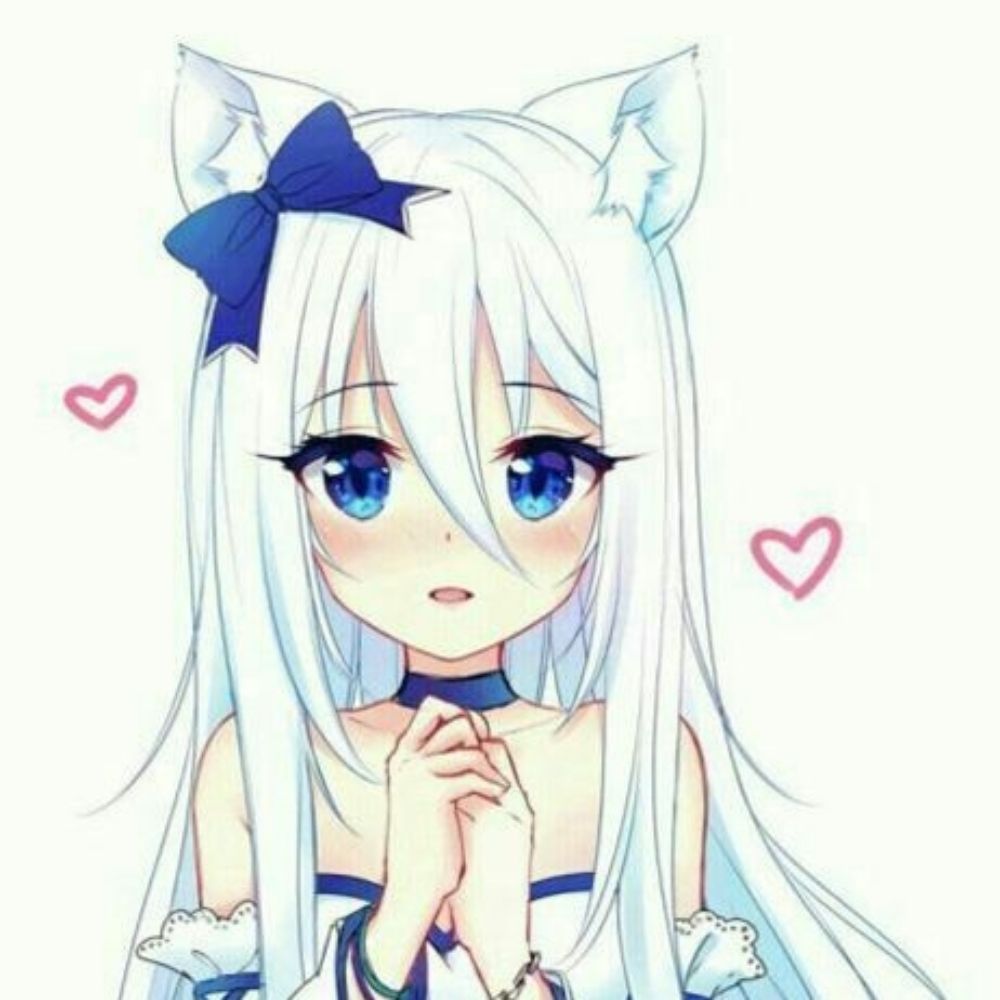 🐾𝕜𝕣𝕚𝕟𝕘𝕖𝕖𝕜𝕒𝕥𝕥💙