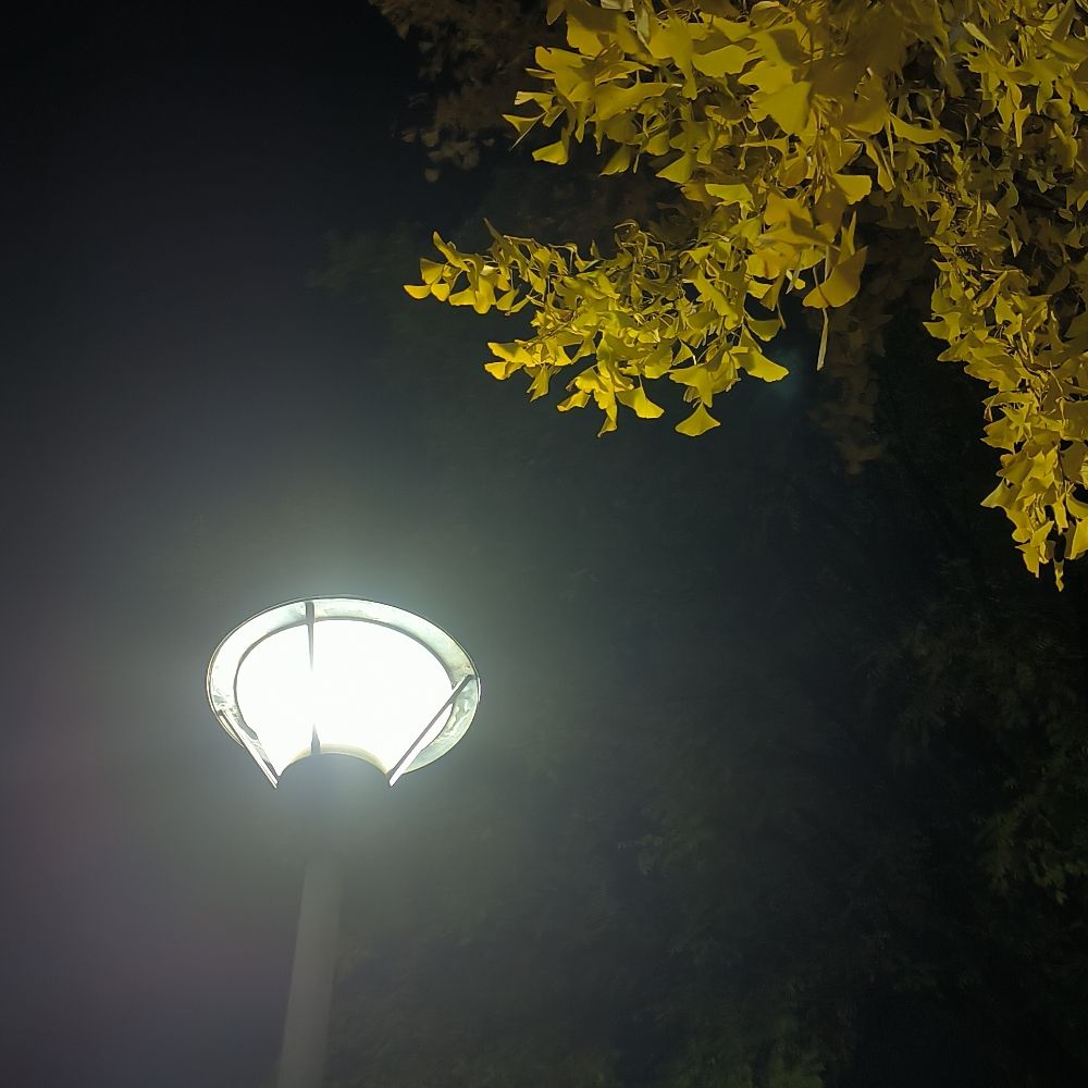 乘五