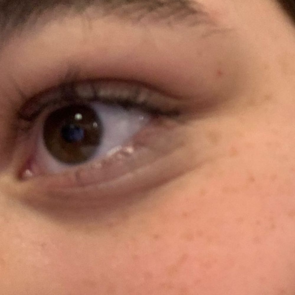 stefanelligabi