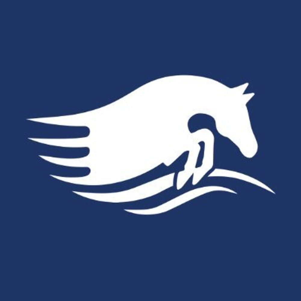 Traverse City Horse Shows