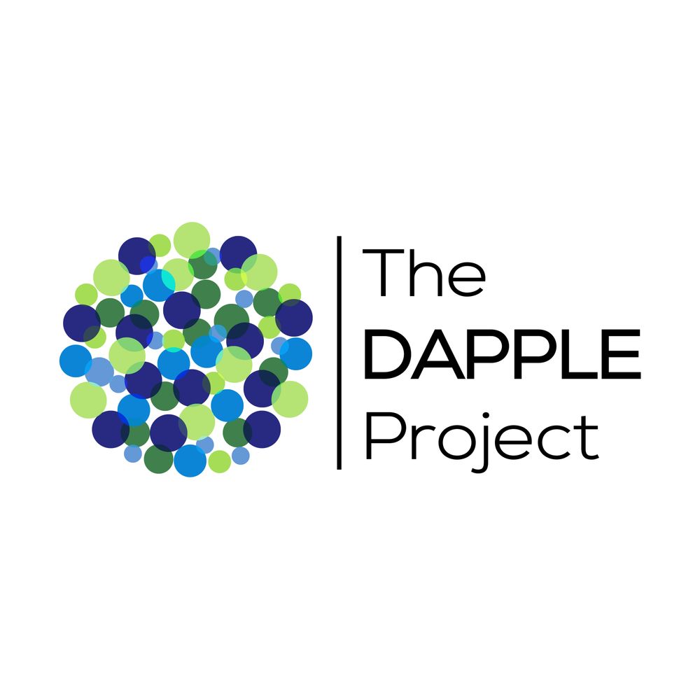 The DAPPLE Project