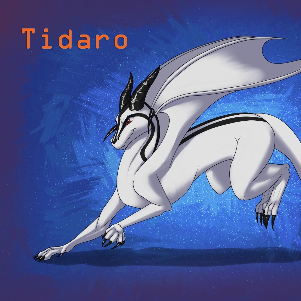 Tidaro 