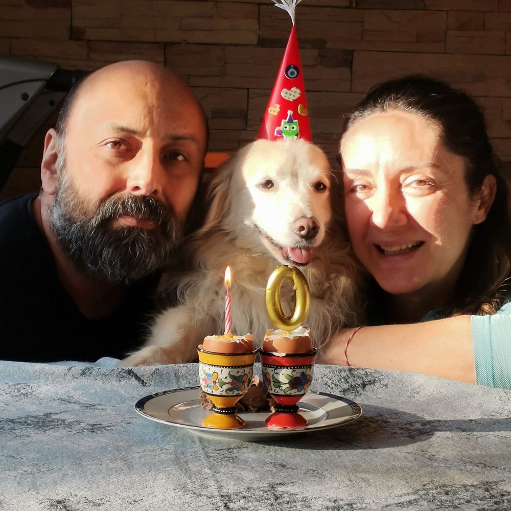 Şiş Ko