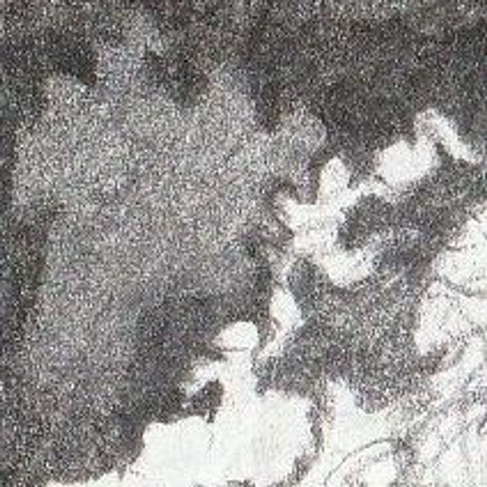 ecoponderosa