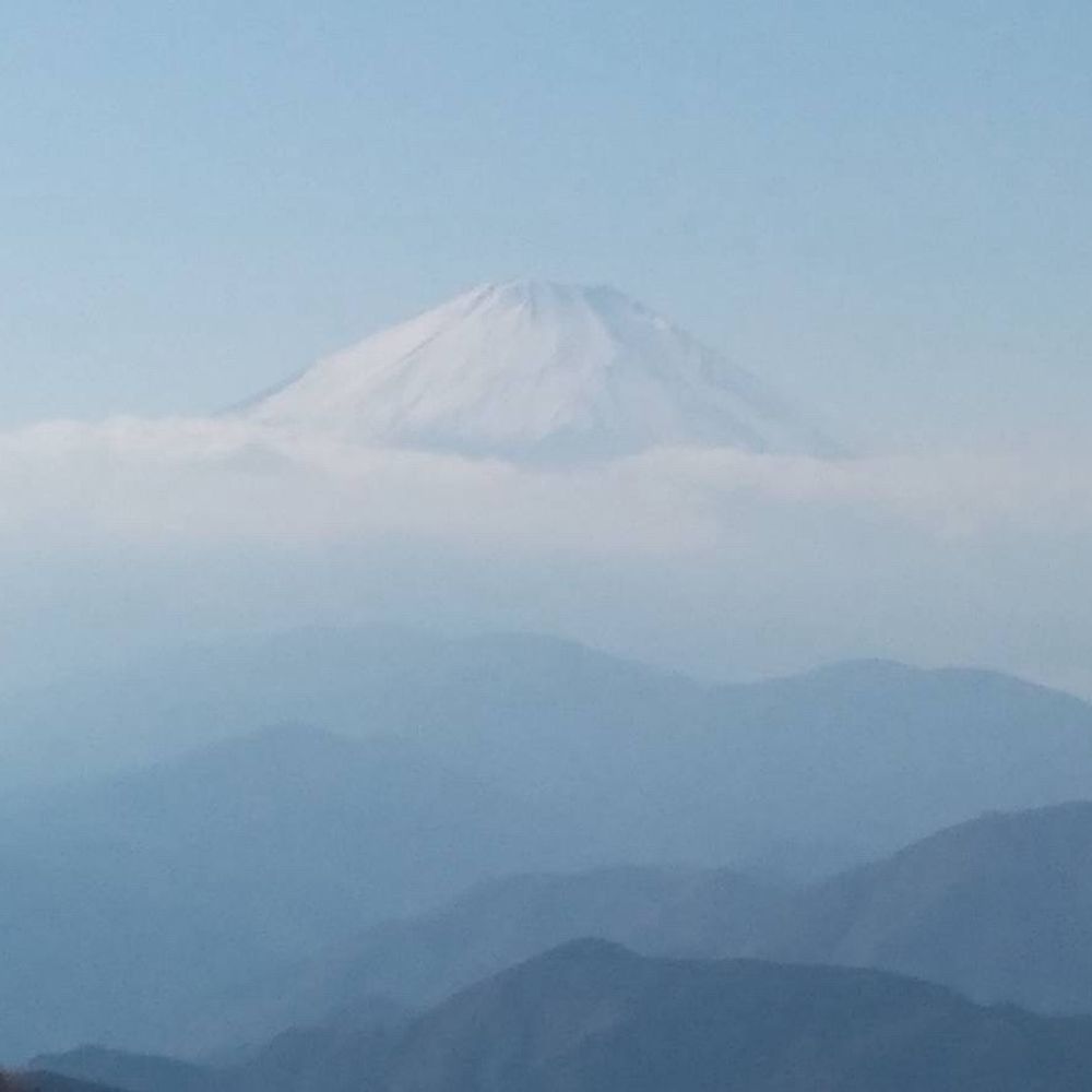 もふもふ
