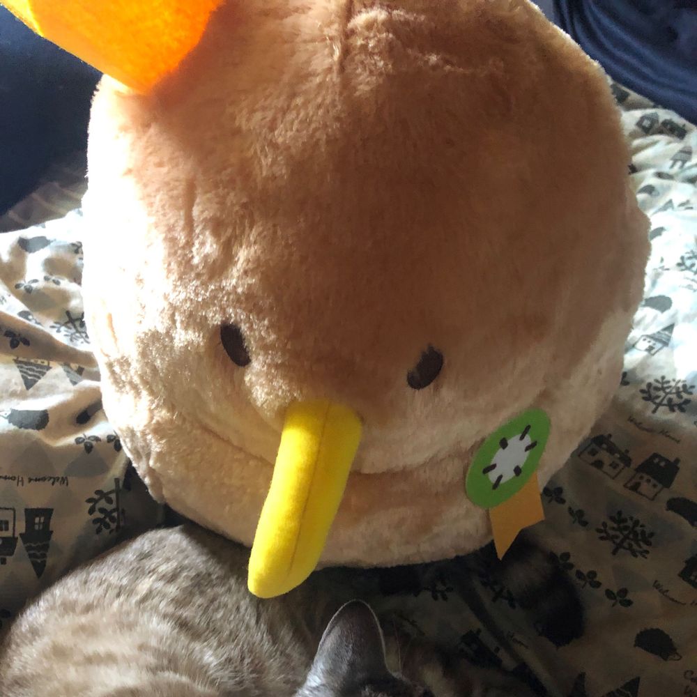 キウイ