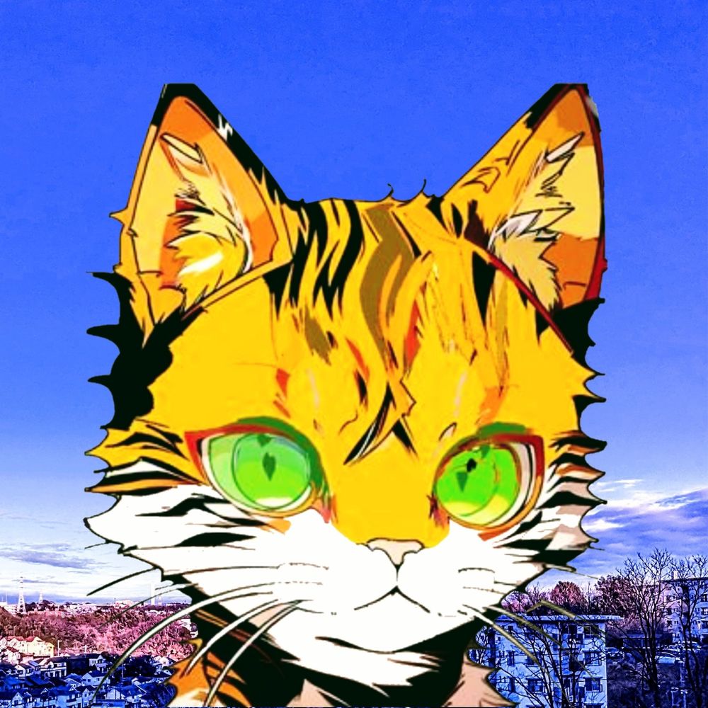 ノラノリ's avatar