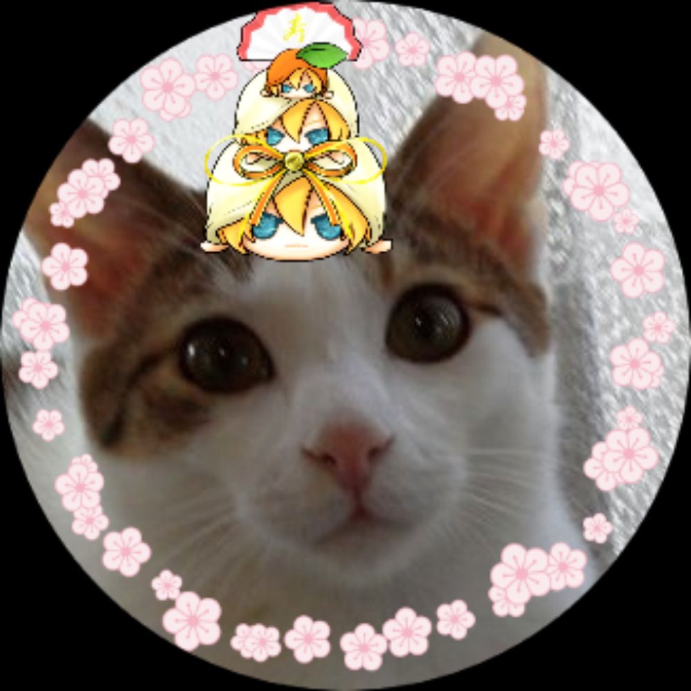 ぬこ様の給仕係＠猫柱