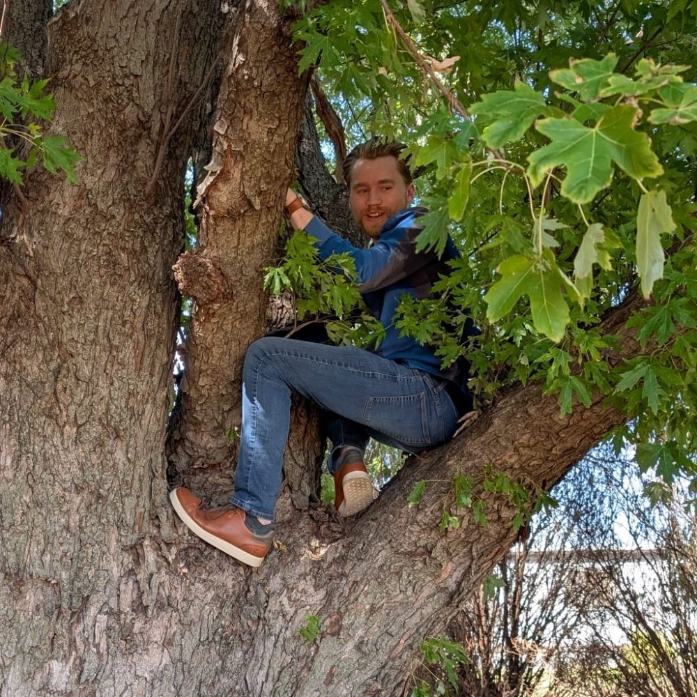 BirdEatMan