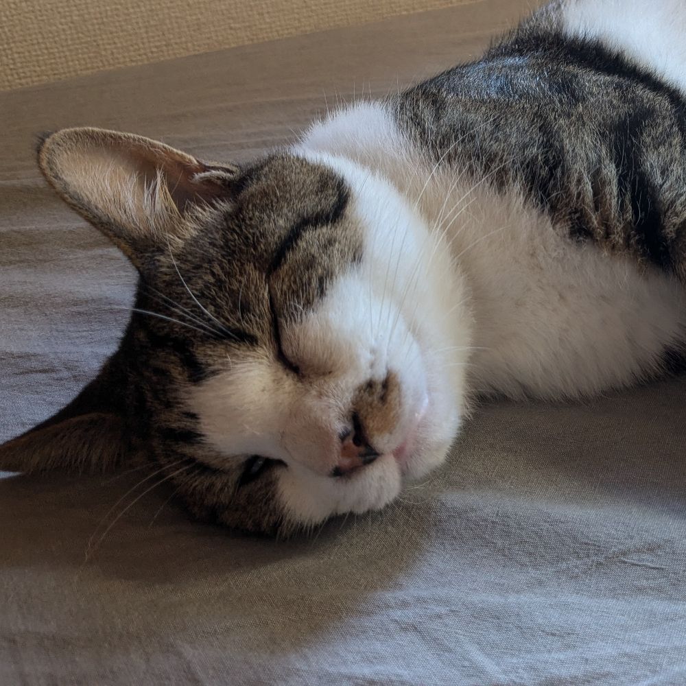 美月一奈輝（みづきひなき）